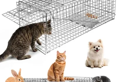 Free ad: Trampa para Animales Vivos Xkimos, Jaula de Gato con 2 Puertas, Resistente al Oxidación, Acero Plegable in Mexico. Trampa para Animales Vivos Xkimos, Jaula de Gato con 2 Puertas, Resistente al Oxidación, Acero Plegable in Mexico