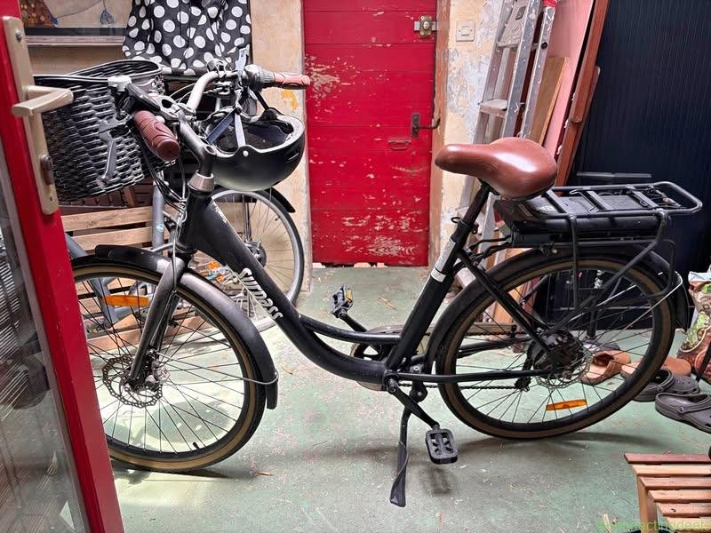Vélo électrique Surpass