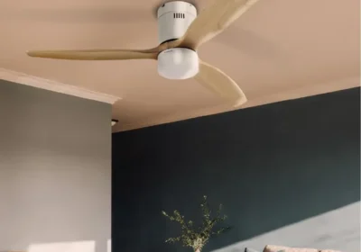 Free ad: Ventilateur de plafond THOMSON avec OLIA lumière et pales en bois certifié FSC, diamètre 132 cm + télécommande incluse - Meilleur Prix in France. Ventilateur de plafond THOMSON avec OLIA lumière et pales en bois certifié FSC, diamètre 132 cm + télécommande incluse - Meilleur Prix in France