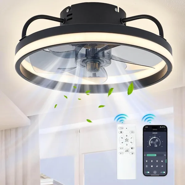 Ventilateurs de plafond Eznaobo 33/50 cm avec éclairage et télécommande, 6 vitesses réglables silencieusement – Application intelligente moderne