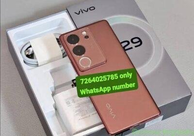 Vivo in Delhi