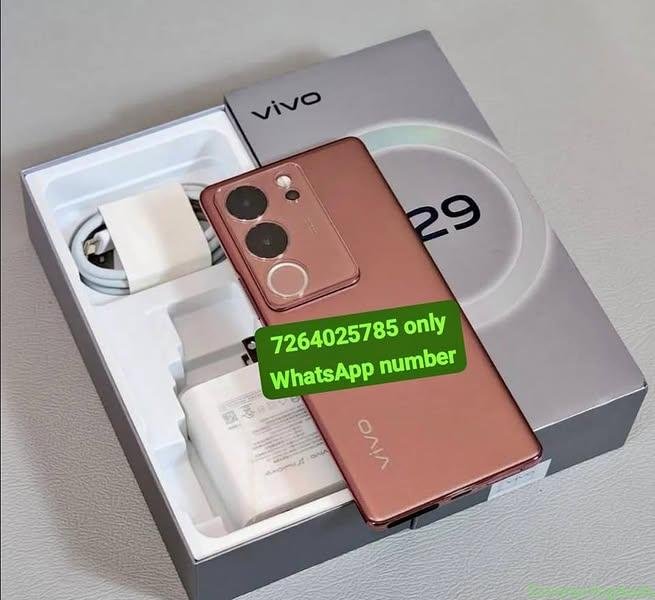 Vivo