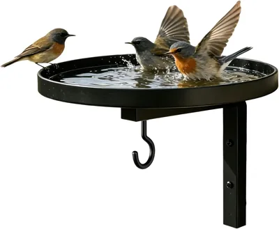 Wall-Mounted Metal Bird Bath Basin with Hanging Hook Best Deal