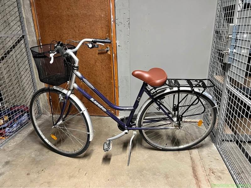 Women’s Bike 28 tum – 7 Gears