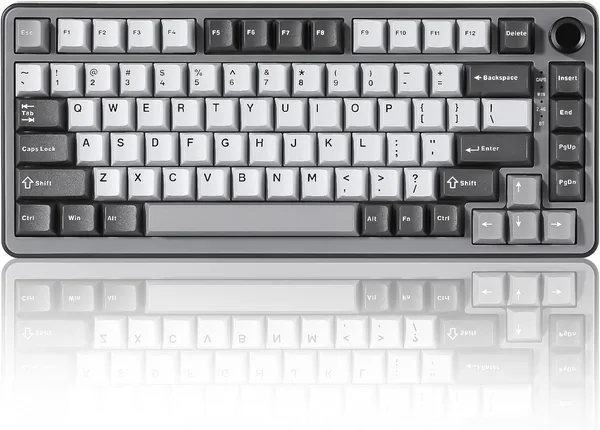 YUNZII B75 PRO Draadloze Mechanische Toetsenbord met 75% Layout, RGB Verlichting en Hot-Swap Gasket, voor Windows/Mac – 24% Korting