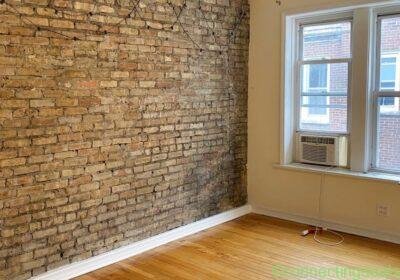 1 Bed 1 Bath Apartment in Chicago