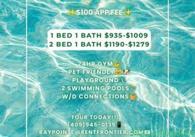1 Bed 1 Bath Apartment in Houston