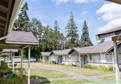 1 Bed 1 Bath Apartment in Seattle