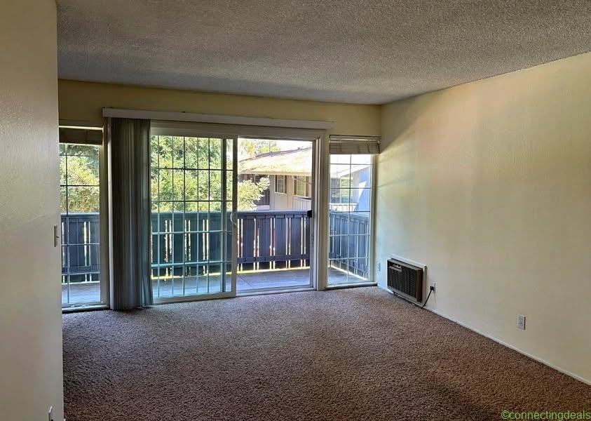 1 Bed 1 Bath
