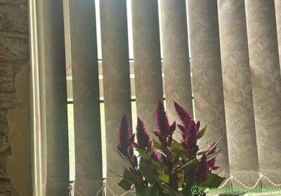 1 bed 1 bathroom – House in Manchester