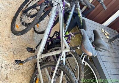 Free ad: 1 Race bike and 2 mountain bikes in Sydney. 1 Race bike and 2 mountain bikes in Sydney