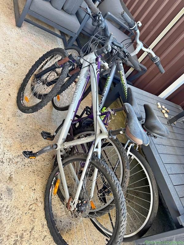 1 Race bike and 2 mountain bikes