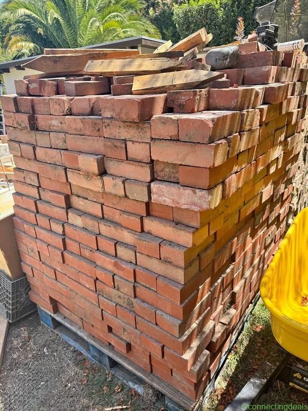 10 year old bricks