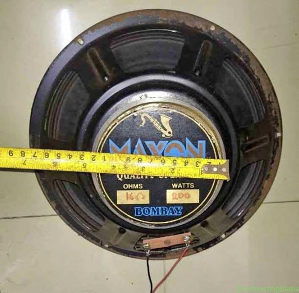 12 inch speaker