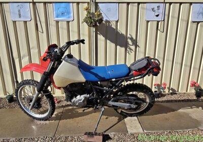 1984 Suzuki DR in Adelaide