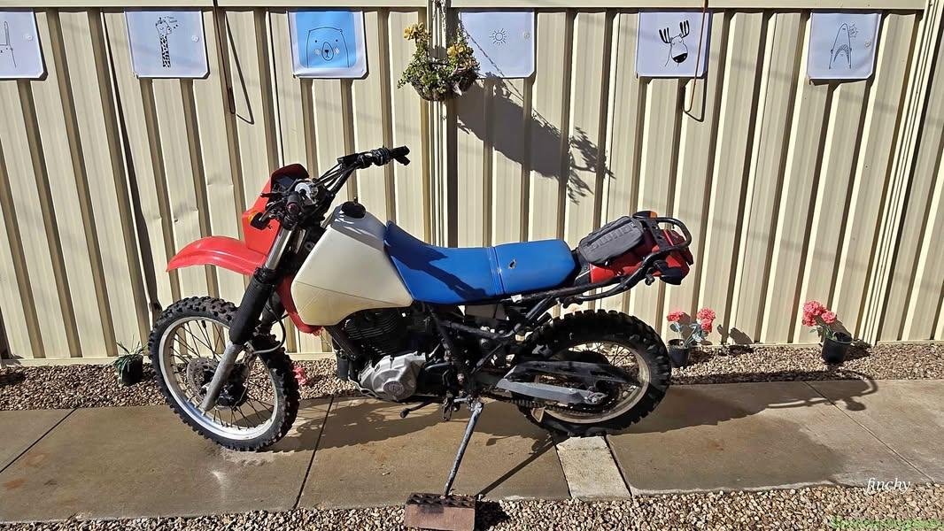 1984 Suzuki DR