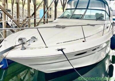 1999 Sea Ray 310 sundancer in Vancouver