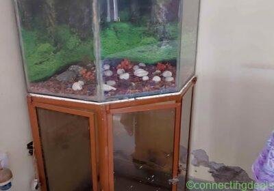 Free ad: 2 Beds 1 Bath - House in Jaipur. 2 Beds 1 Bath - House in Jaipur
