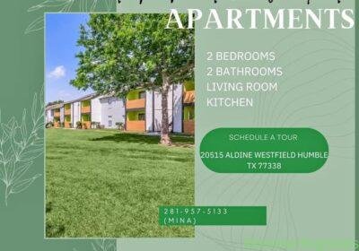 2 Beds 2 Baths Apartment in Houston