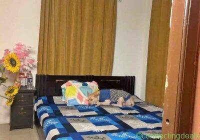2 Beds 2 Baths - Apartment in Patna