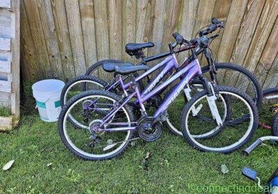 2 purple huffy bikes, and bike rack in Anchorage