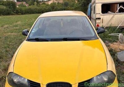 2002 SEAT Ibiza in Lyon