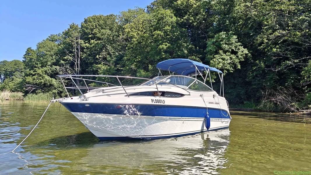 2004 Bayliner 245
