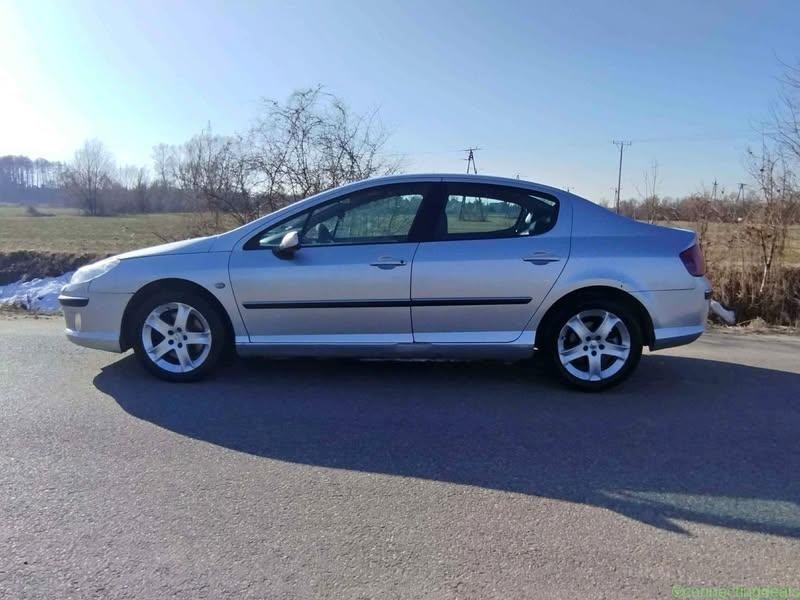 2004 Peugeot 407