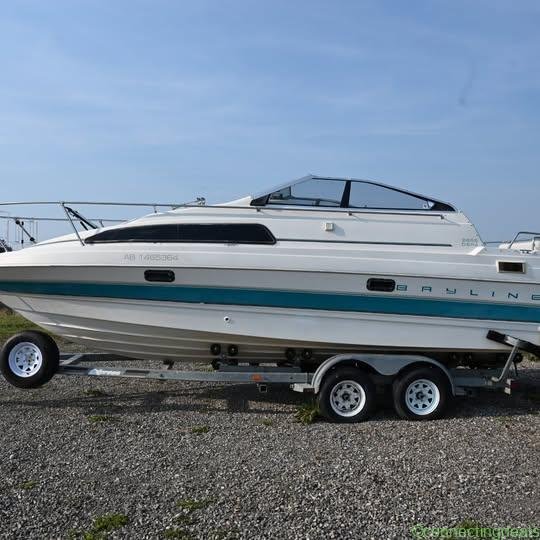 2009 Bayliner 175