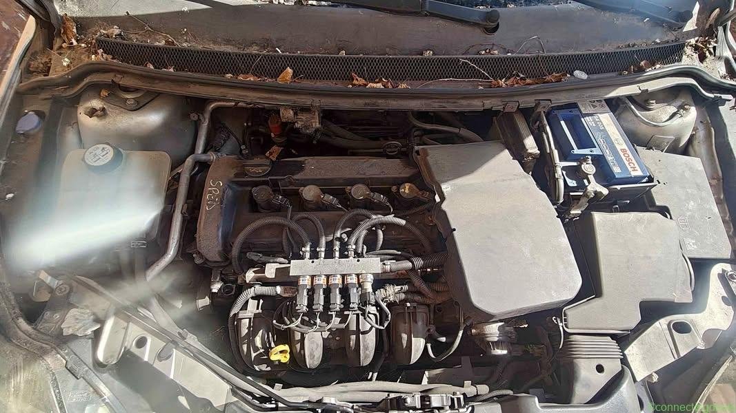 2009 Ford Focus
