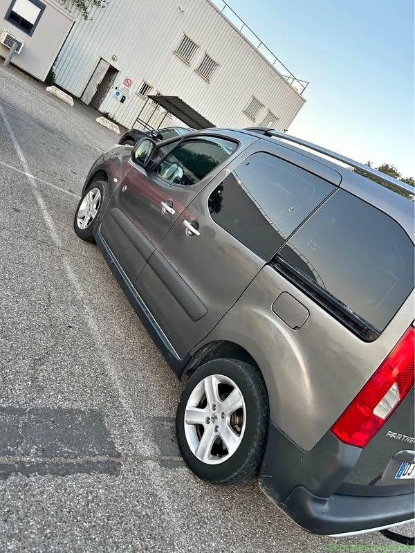 2009 Peugeot Partner