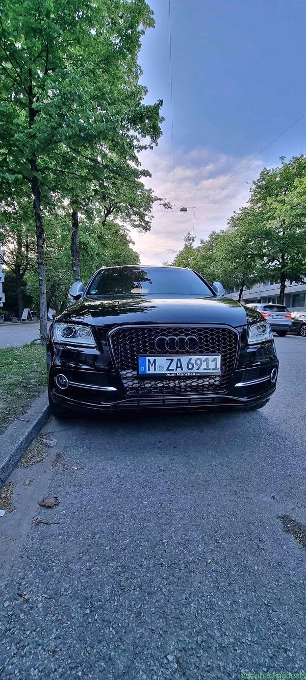 2013 Audi SQ5