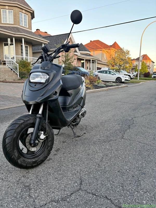2013 PGO Big Max 50