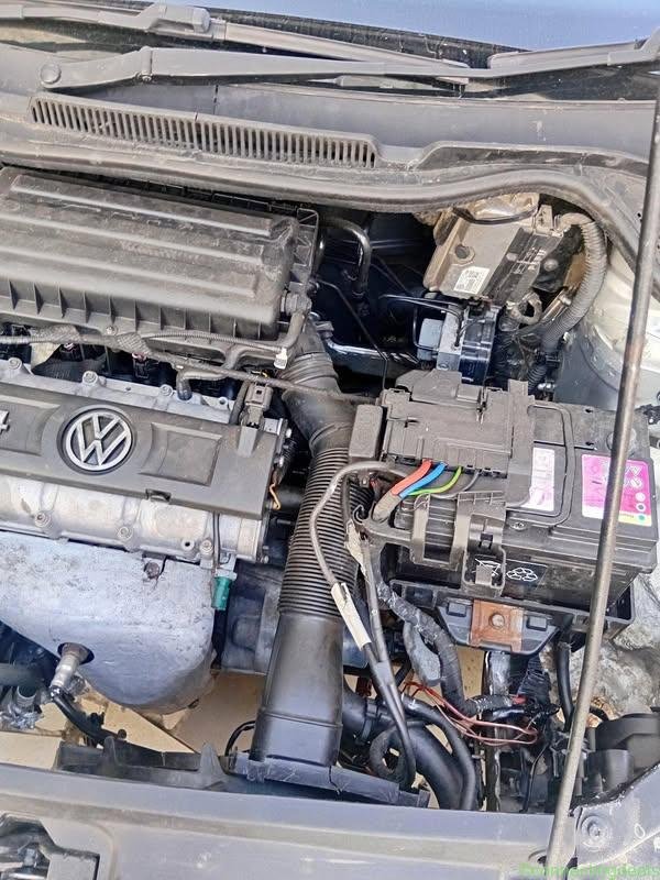 2014 Polo+6 2014 125