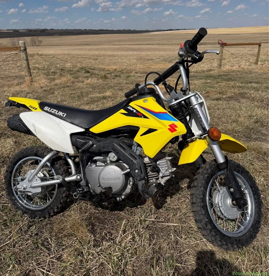 2018 Suzuki DR-Z 50 Dirtbike