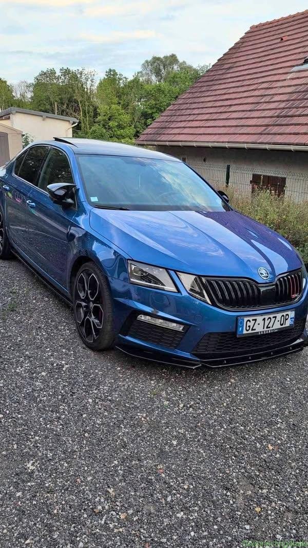 2019 Škoda Octavia