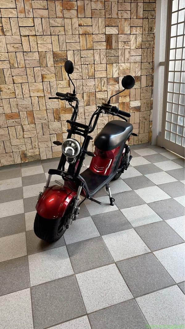 2024 Electric Motion x12 1000w