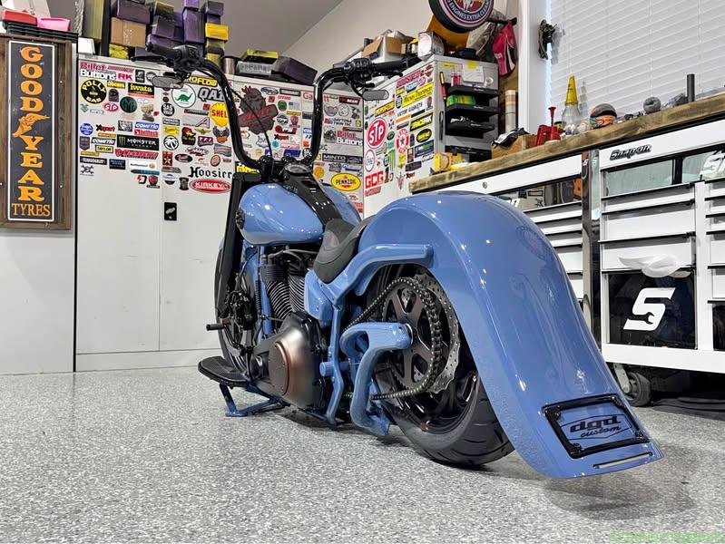 2025 Harley-Davidson 2025 DGD Custom Softail
