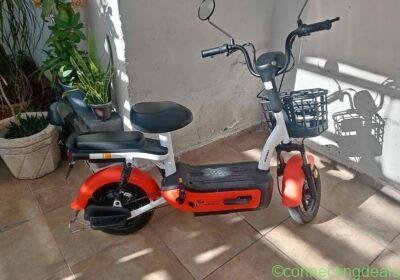 2026 Honley Honey walle in Monterrey