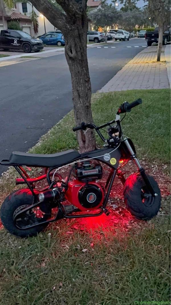 2026 Predator 224 224