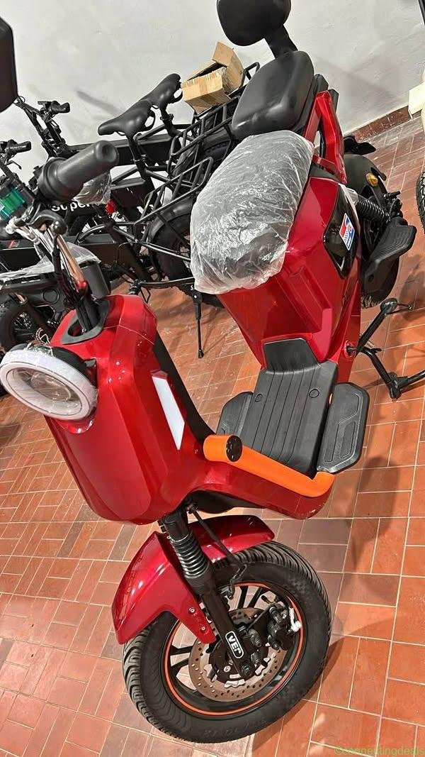 2027 Electric Motion 1000 watts