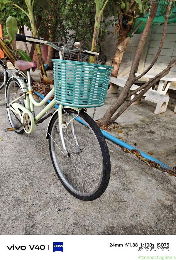 22″ Bicycle
