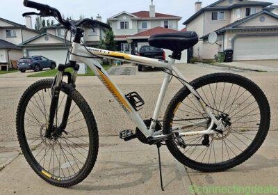 29" Bike in Edmonton
