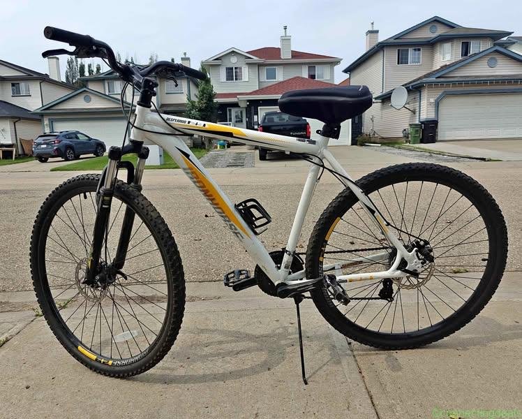 29″ Bike