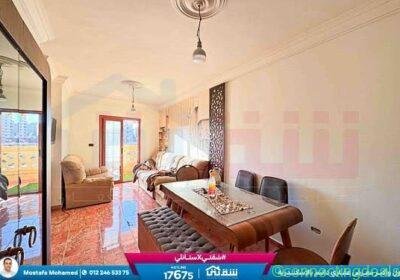 Free ad: 3 Beds 1 Bath Apartment/condo in Alexandria. 3 Beds 1 Bath Apartment/condo in Alexandria