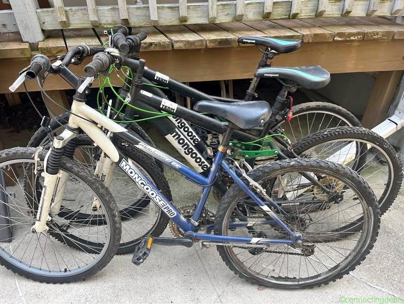 3 – Mongoose Mountain Bike Bicycle