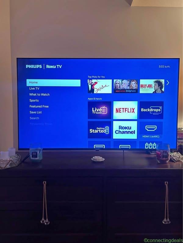 55” Inch Roku TV.