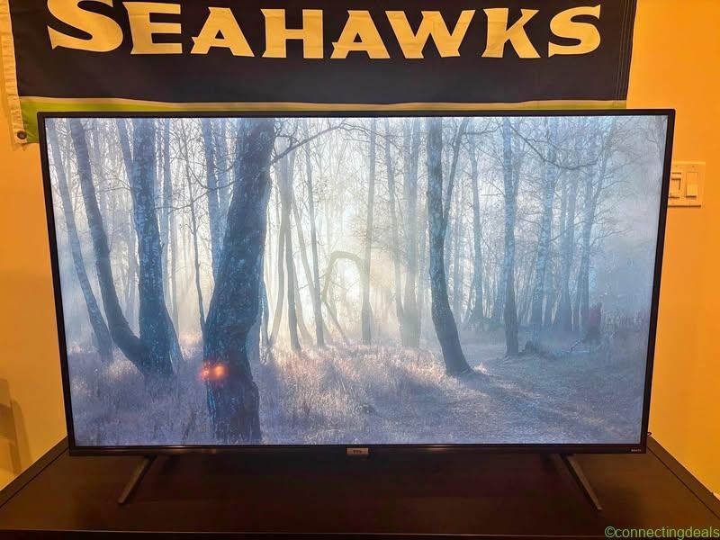 55” TCL Roku TV