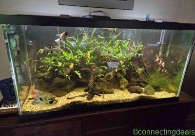 Free ad: 90 Gallon Aquarium in Vancouver. 90 Gallon Aquarium in Vancouver