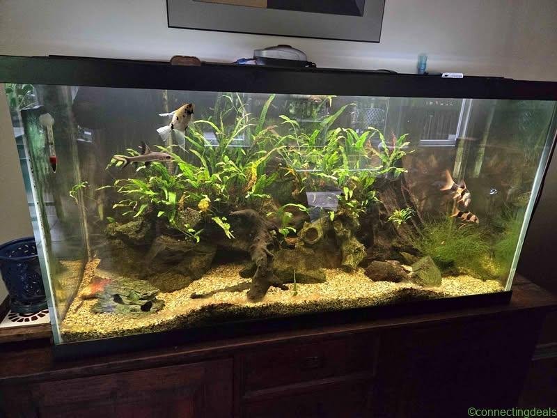 90 Gallon Aquarium